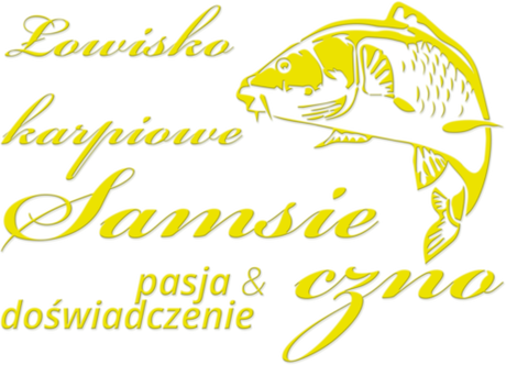 Nadruk Łowisko Karpiowe Samsieczno - duże logo - wzór męski - Przód